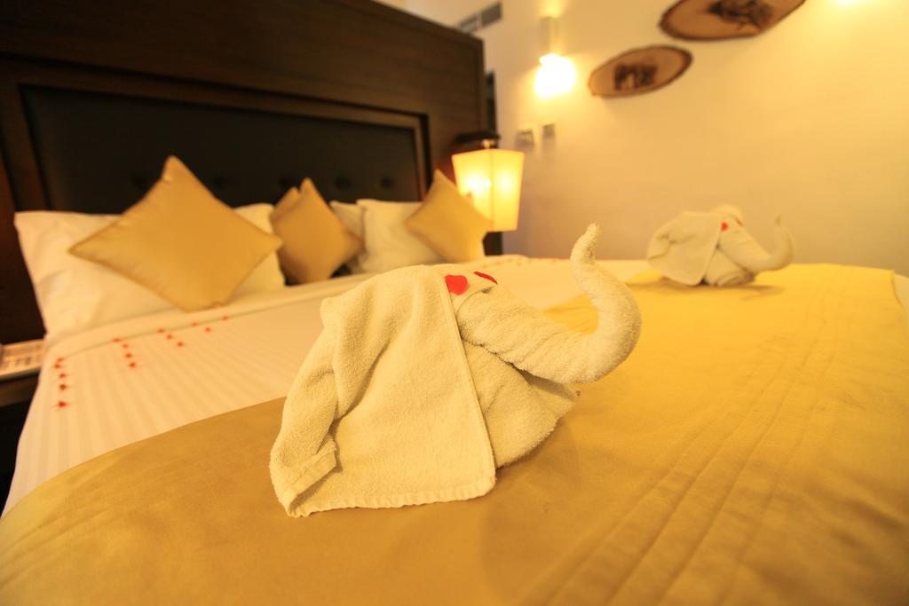 Grand Udawalawe Safari Resort Exteriér fotografie
