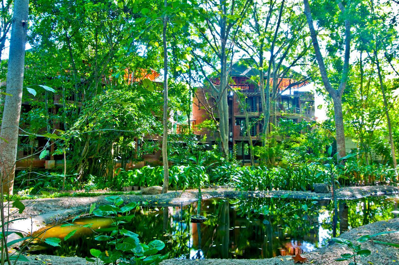 Grand Udawalawe Safari Resort Exteriér fotografie